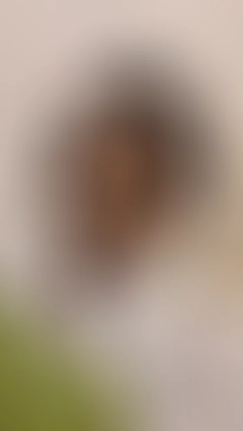 Stacy Straight Female escort in Bramley Park, Sandton, South Africa video post thumnail
